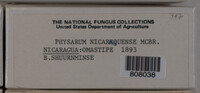 Image Associated With the Occurence